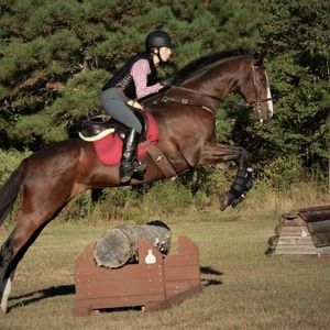 Meet your Posher, Andy